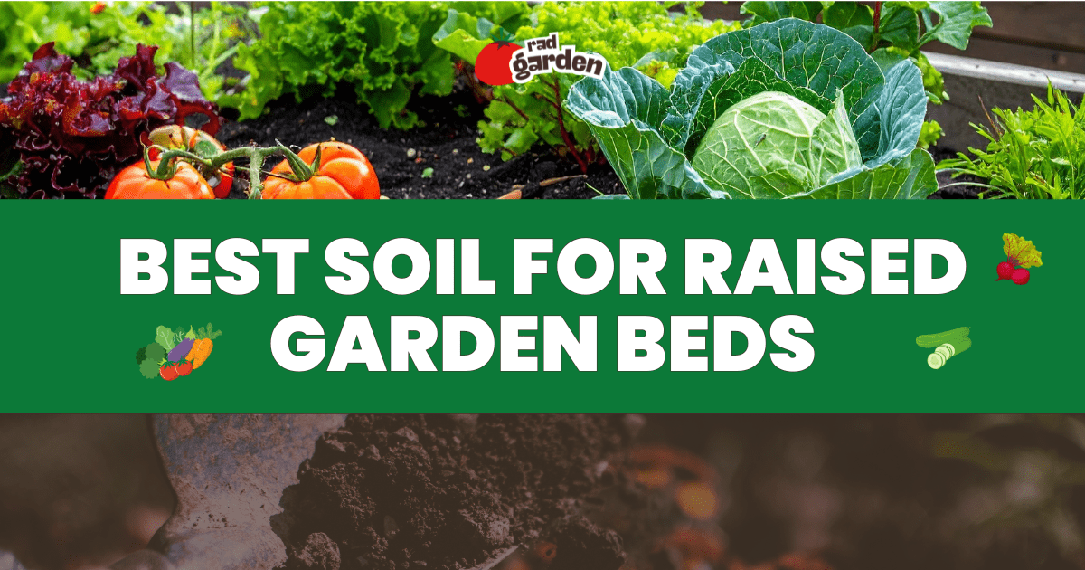 Best Soil for Raised Garden Beds