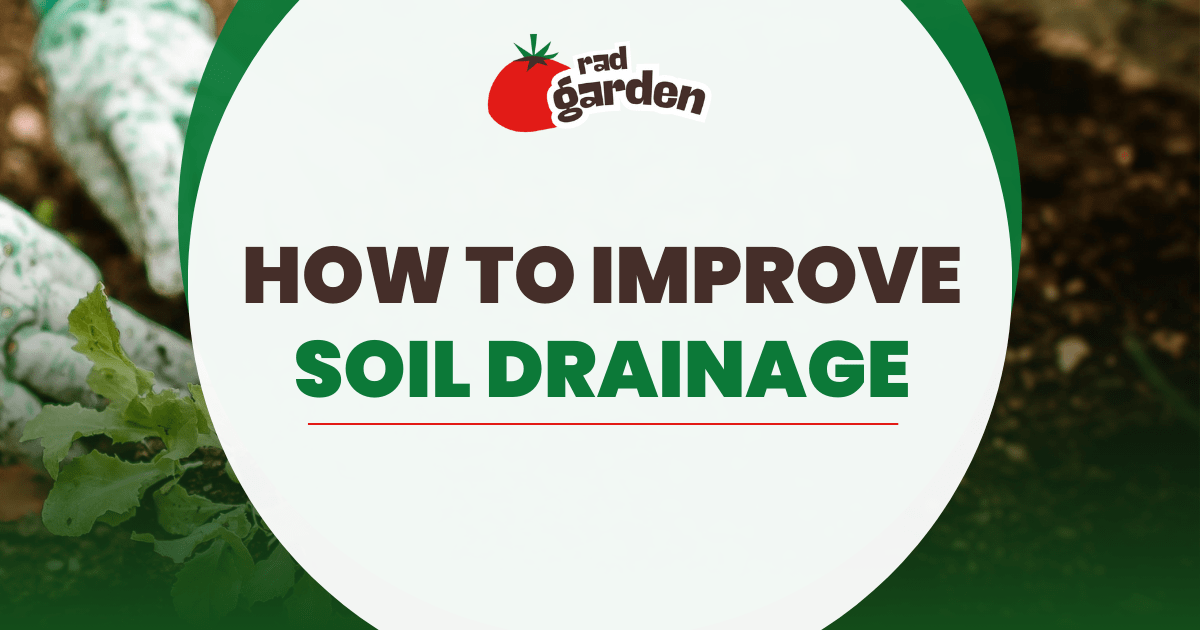 How to Improve Soil Drainage-min