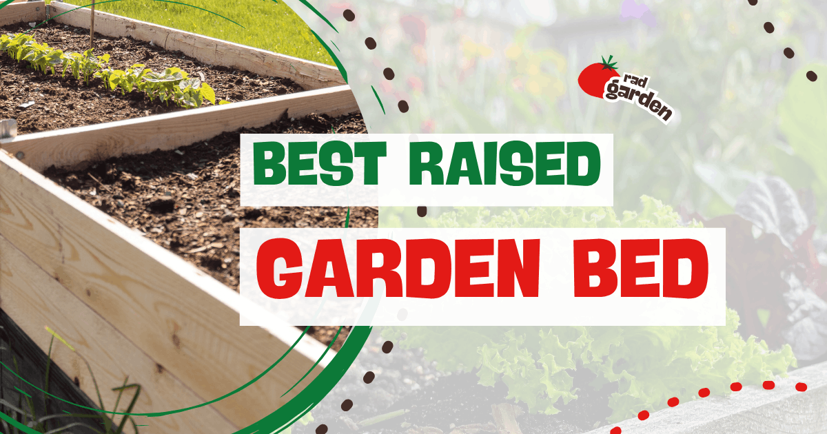 Best Raised Garden Beds