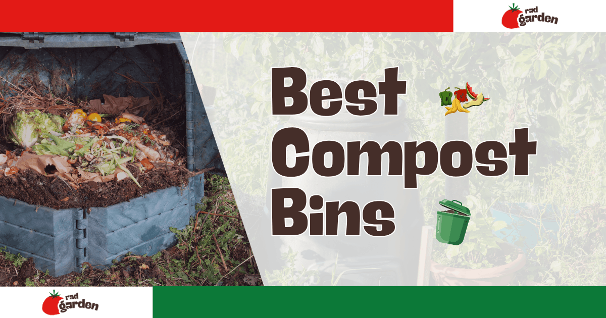 Best Compost Bins