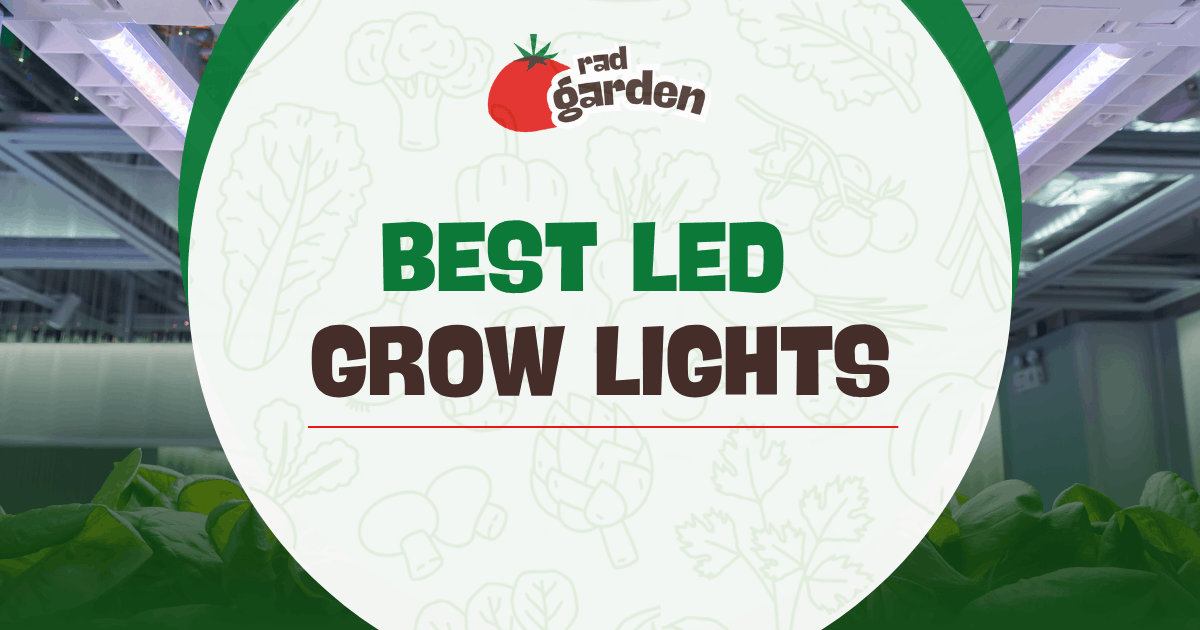 Best LED Grow Lights