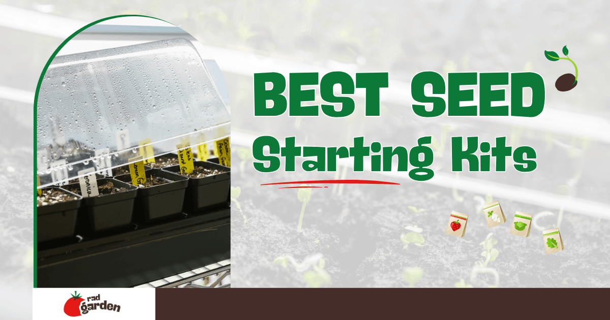 Best Seed Starting Kits for Zone 8A Gardens
