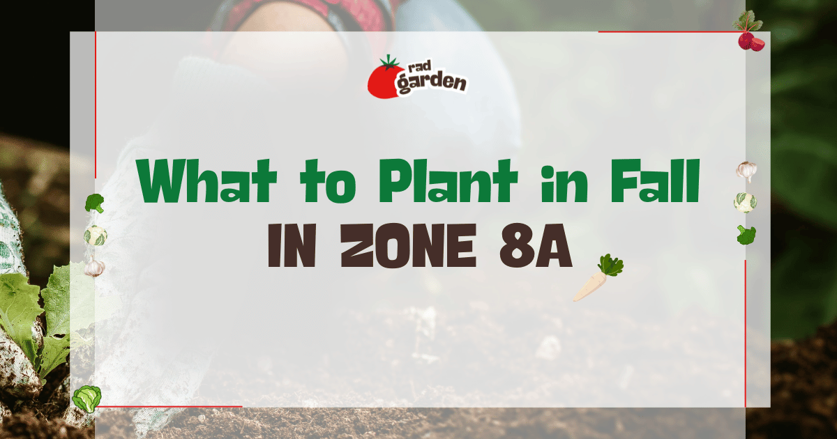 What to Plant in Fall in Zone 8a