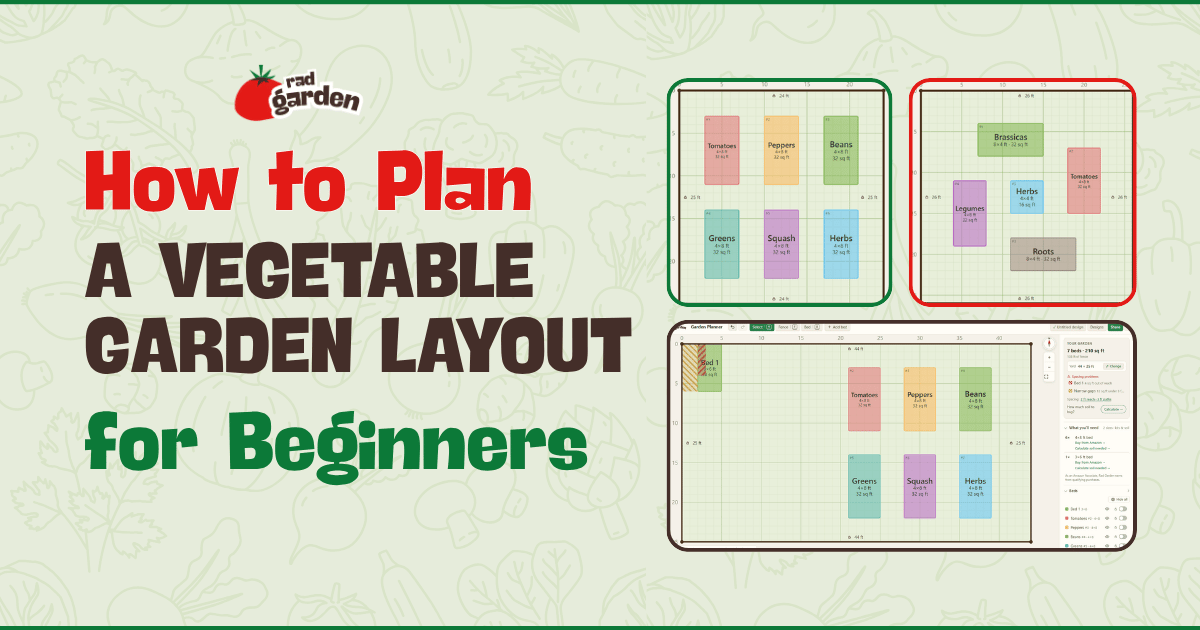 How to Plan a Vegetable Garden Layout for Beginners